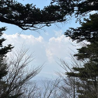 ここから富士山が見られるらしいが何も見えなかった。