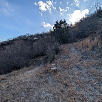 ここは分岐があり、分かりづらいです。
下山は左の道です。