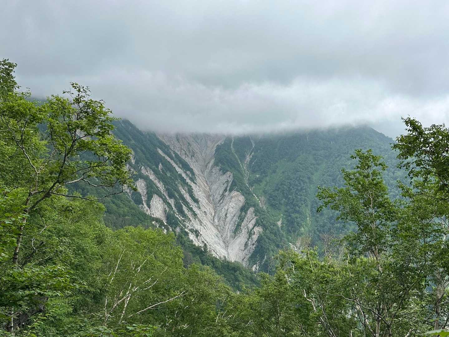 あらら😫針ノ木はガッスガスで見えない🫥💦