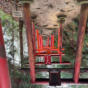 携帯取り出してすぐ撮ったらこうなったがまあいいか🙃