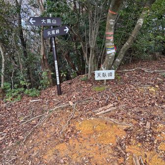 しばらくは展望の無いピークが続きます。