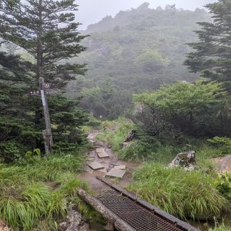 天狗方面との分岐