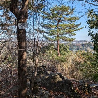態々十兵衛山迄来ましたが、
見晴らしはそれ程でもなかった😢