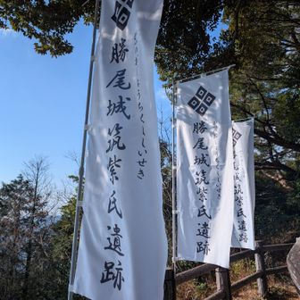 旗がまた新しくなったような