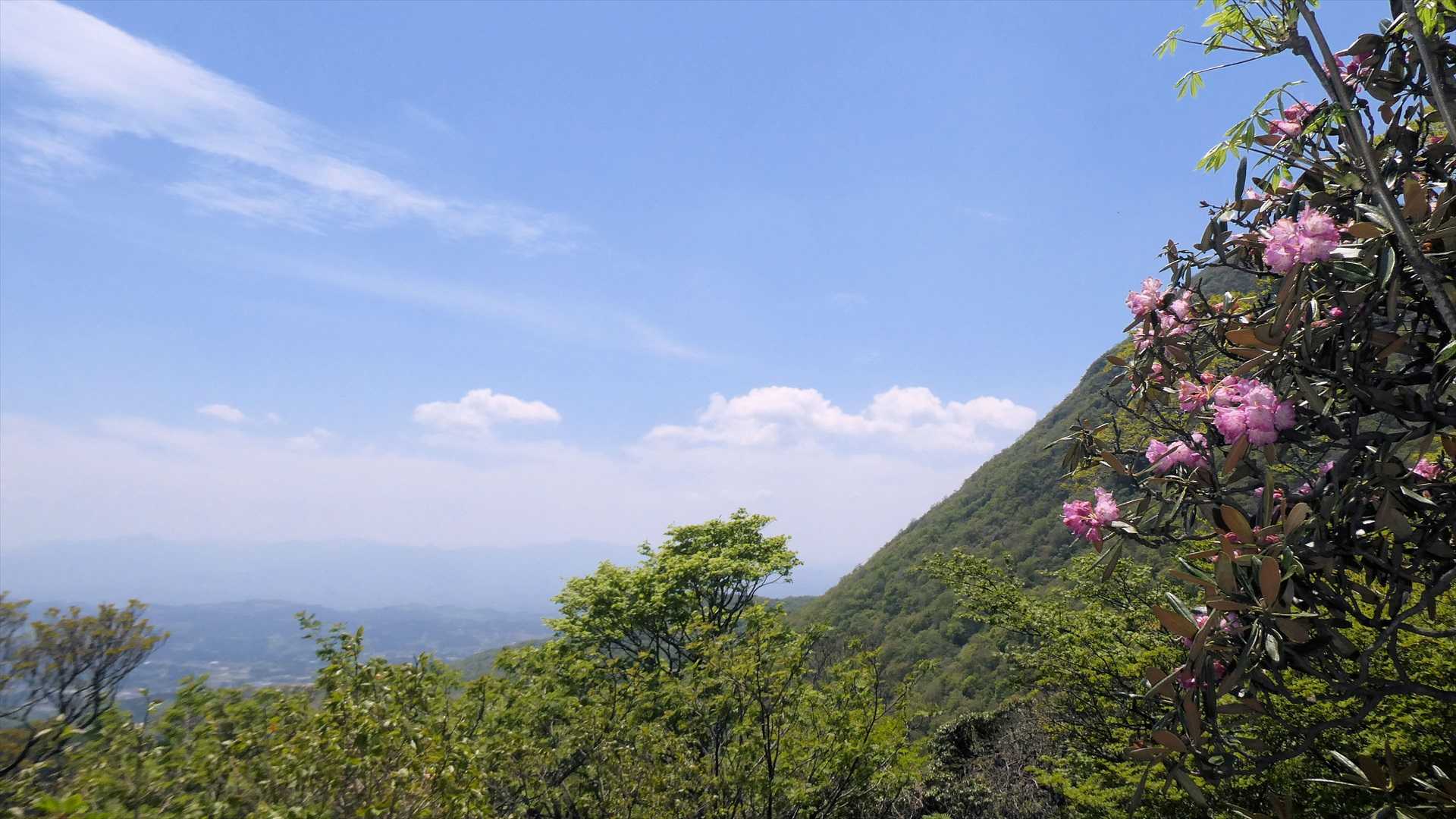 霞んでいるが後方に祖母・傾山系の山々