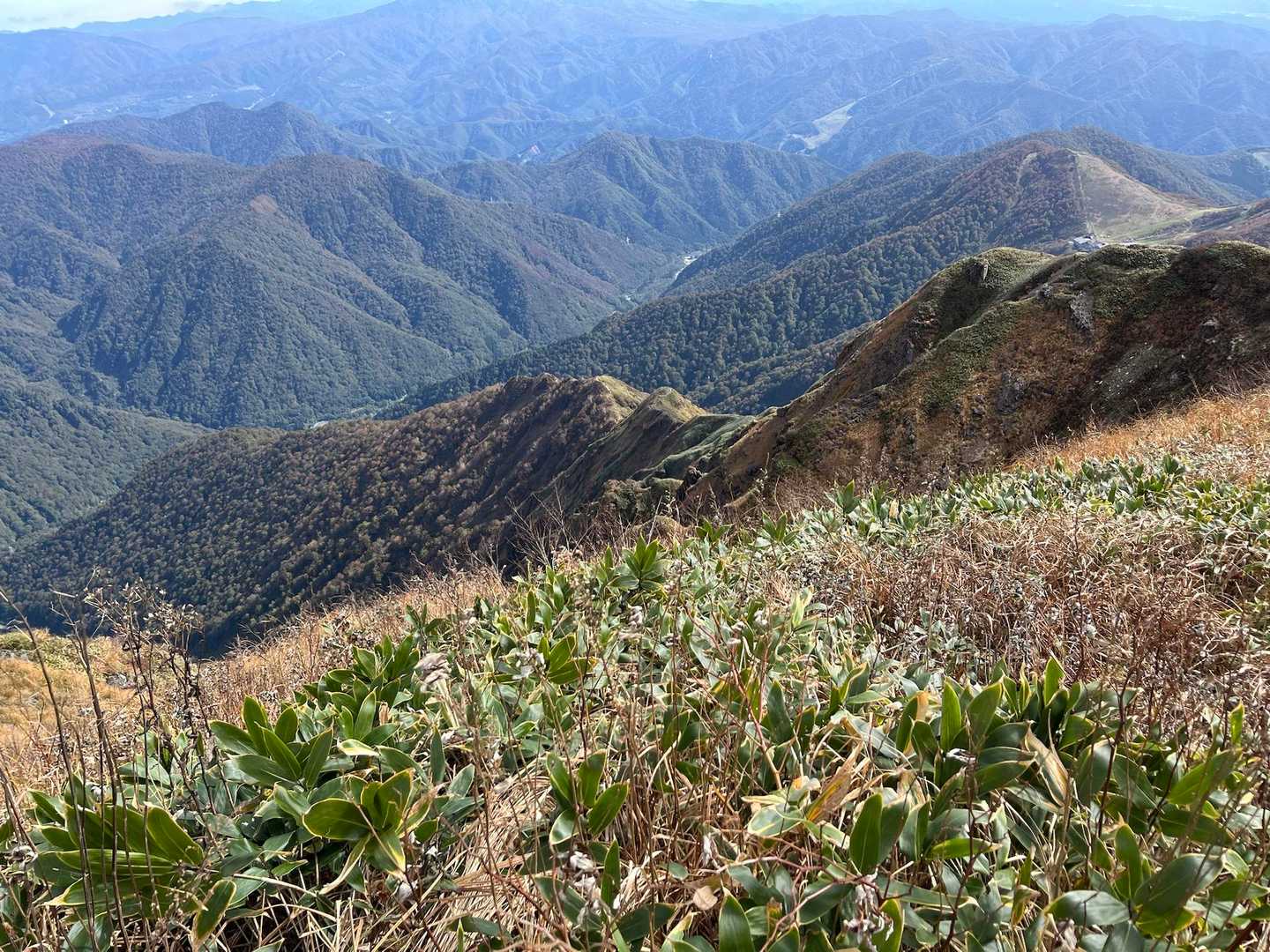 熊穴沢ノ頭-天狗の留まり場-谷川岳-一ノ倉岳 往復コースの写真