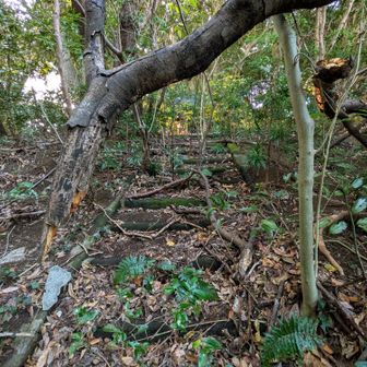 なんと階段出てきた