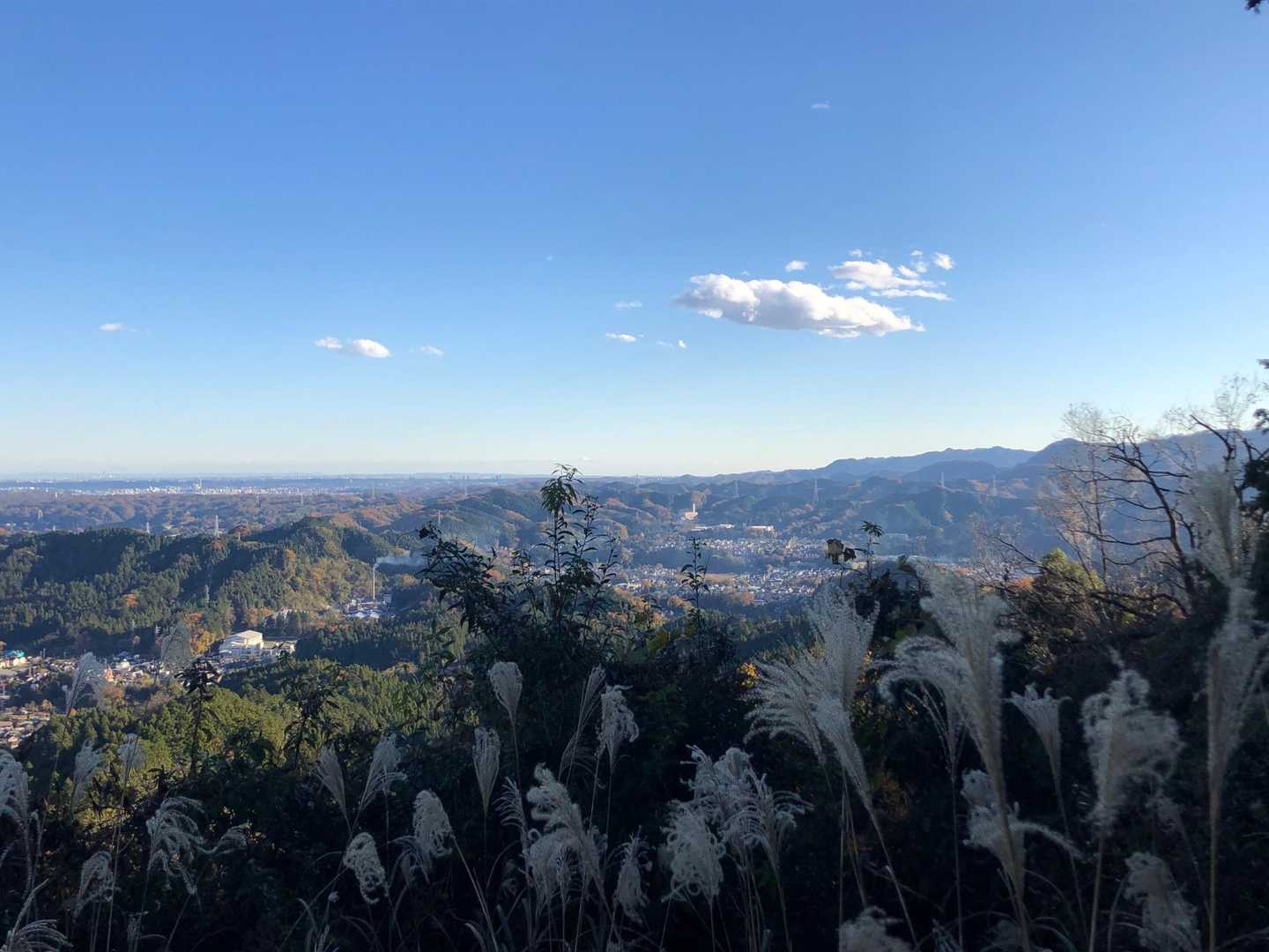 勝峰山 往復コースの写真