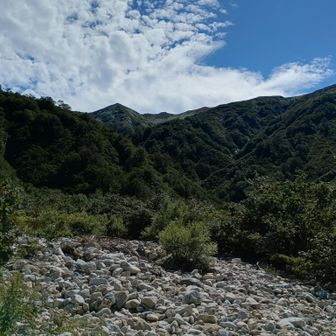 ここからはひたすら登ります