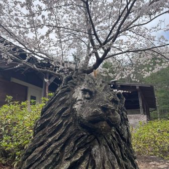 木彫りのライオン🦁
うちの旦那さんに似てる😂