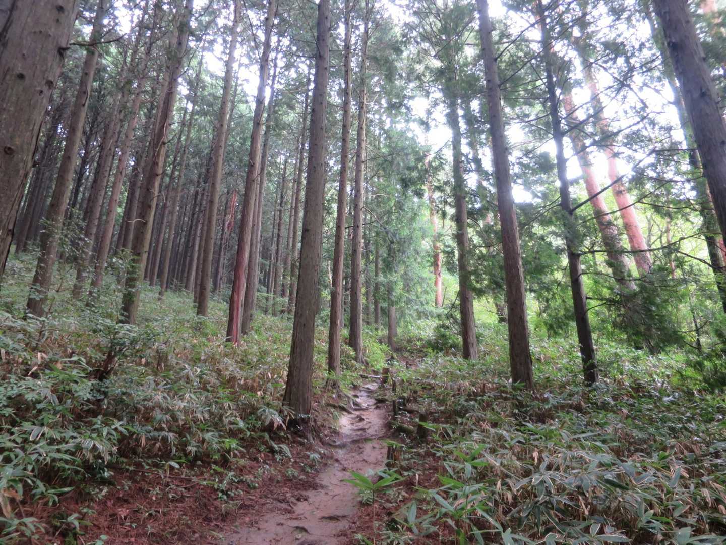 どんどん進みます🚶