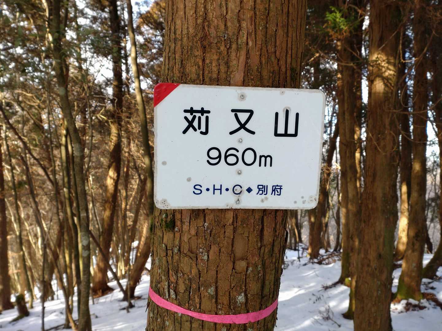 山頂🎵