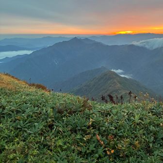 避難小屋から八海山だと思う