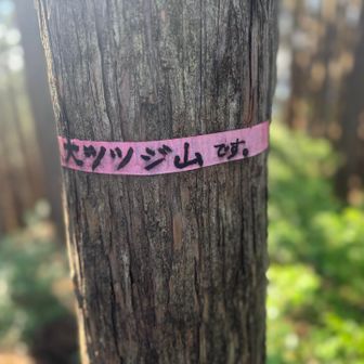 大ツツジ山です