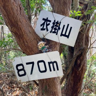 衣掛山着いた✨️
🈁もなんてことは無い景色😭