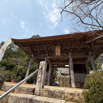 この山門が見たくて、此処まできてしまい、
後は、ぐるりと車道を通り、🅿️まで戻る😅
