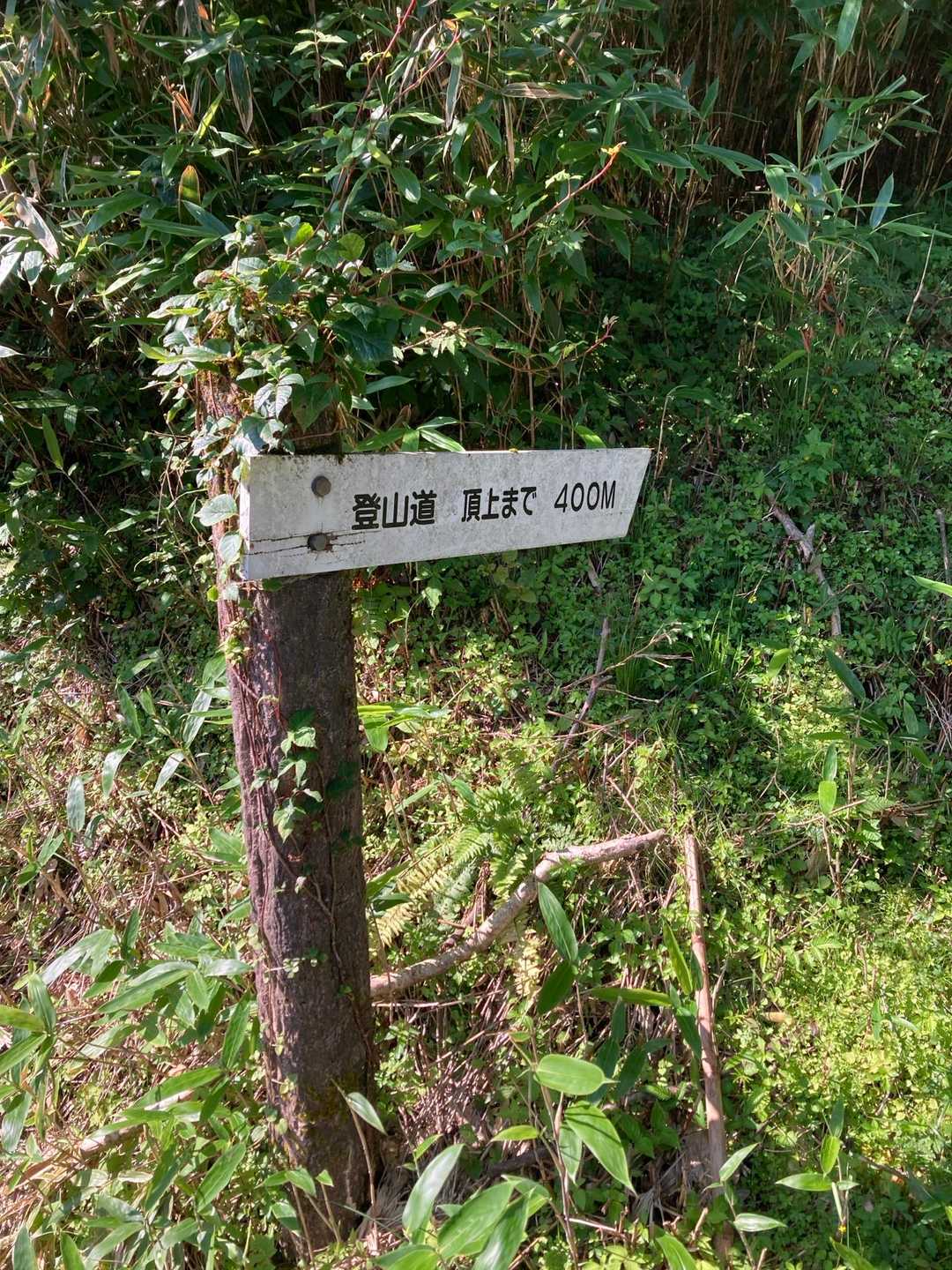 すぐ、です😂