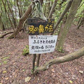 山頂