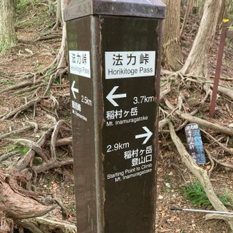 法力峠に到着
良好な登山道で下山します。