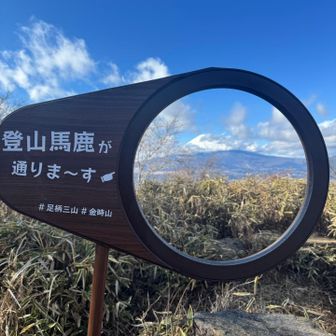 おじさんなのに💦