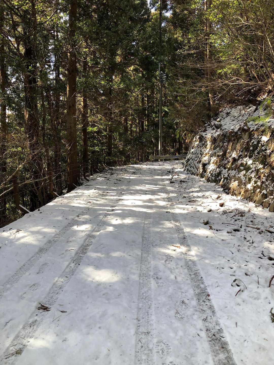 雪が降ってから車で上がっちゅうとは！