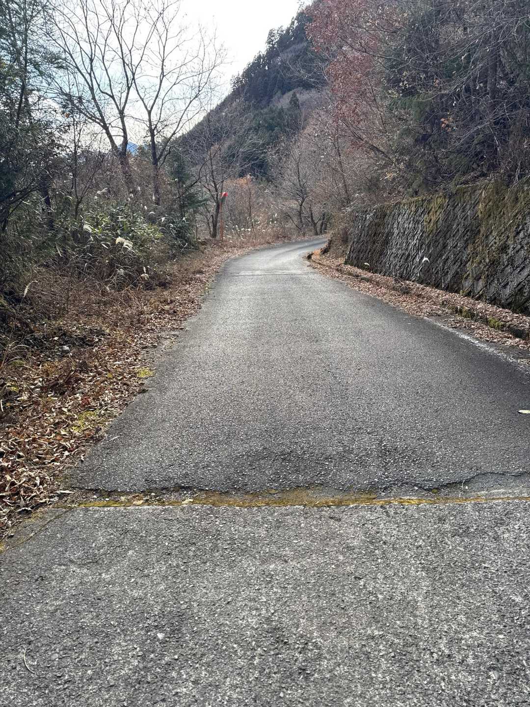 周回は、ばぁば号が欲しい案件でした😂