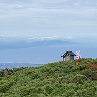 ピークに佇む神社⛩️