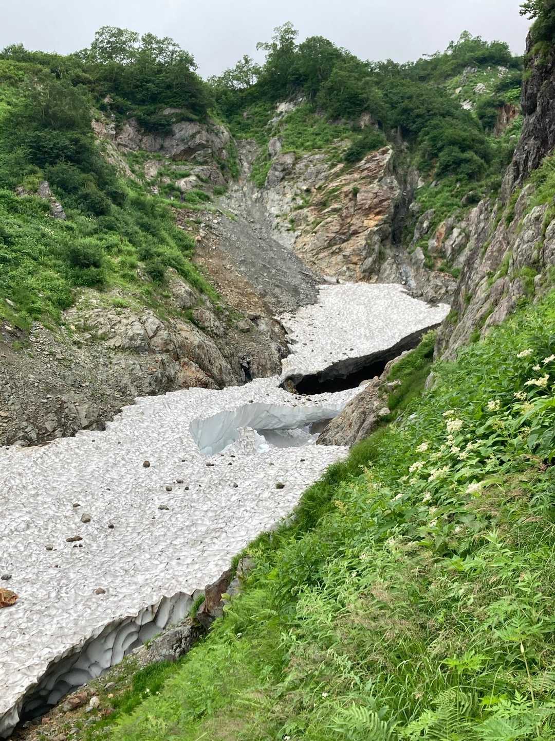 猿倉登山口-白馬鑓ヶ岳 往復コースの写真