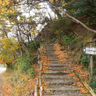 里中の三座を登った後
佐生日吉城址の取り付きに来ました。
