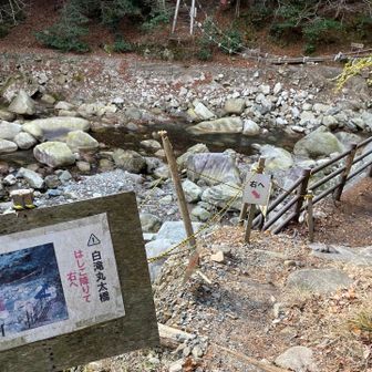 やっぱりハシゴが正解みたいです😭