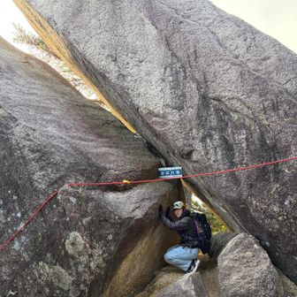 ちょうど良いサイズ感？