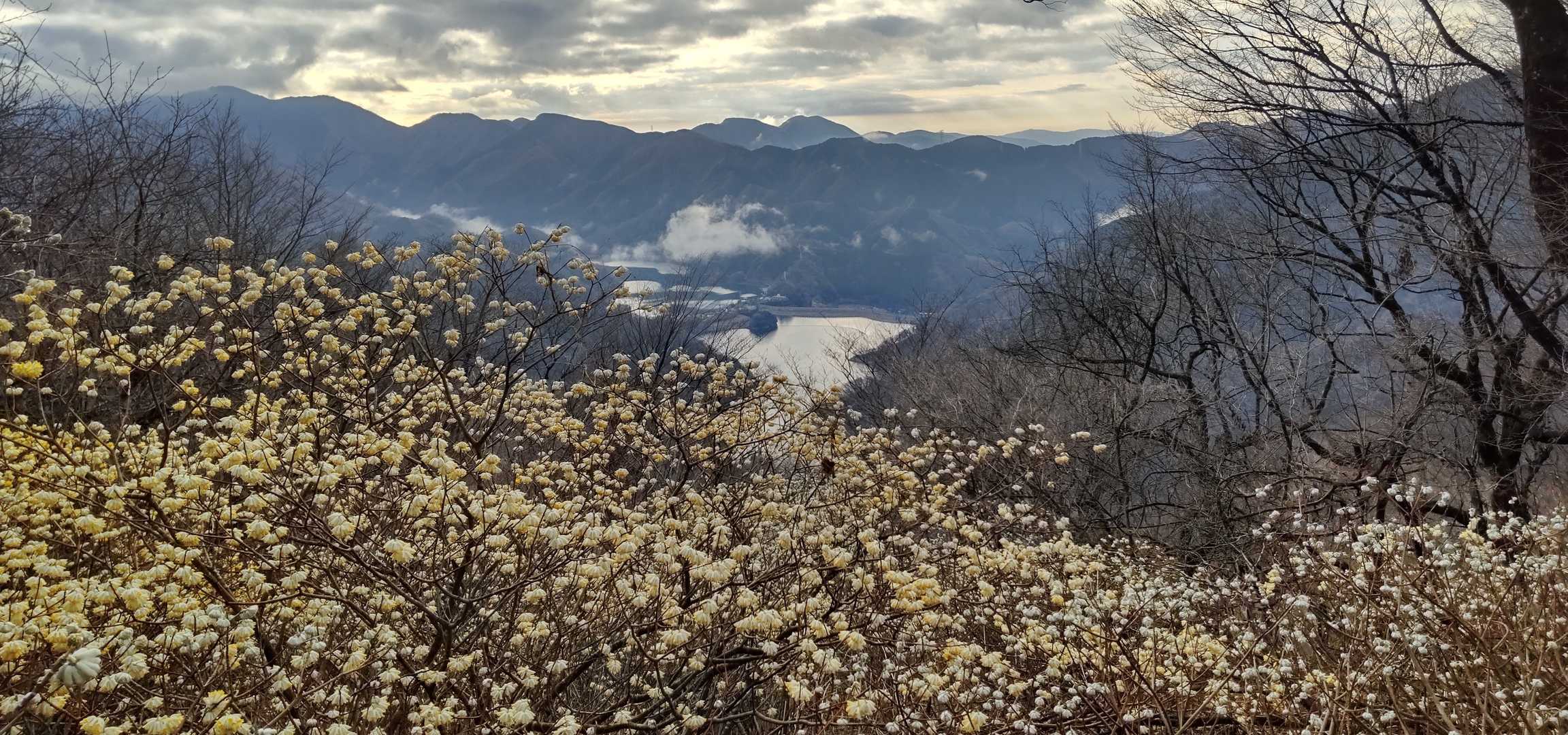 ミツバ岳登山口-大出山-権現山-菩薩山-尾園ノ頭-浅瀬入口 縦走コースの写真