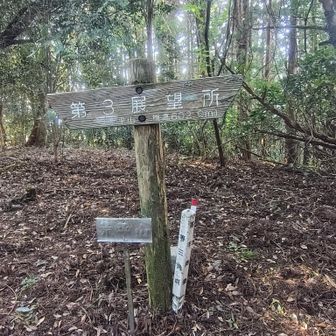 山頂