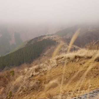 塔ノ岳はガスの中