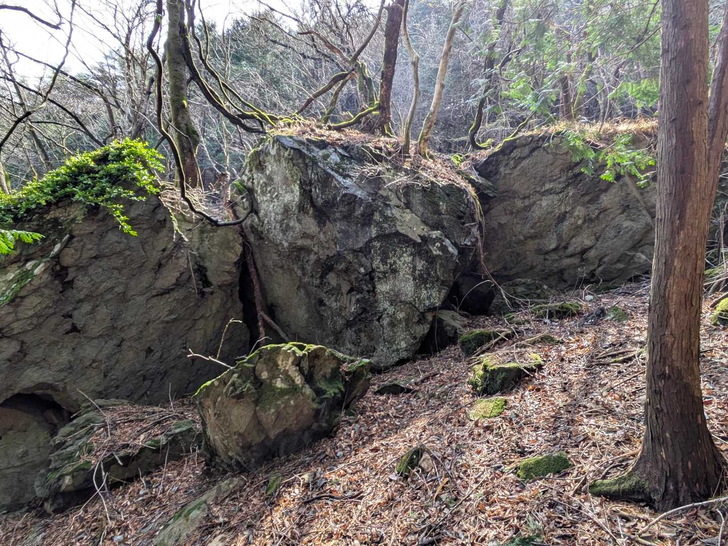 巨岩