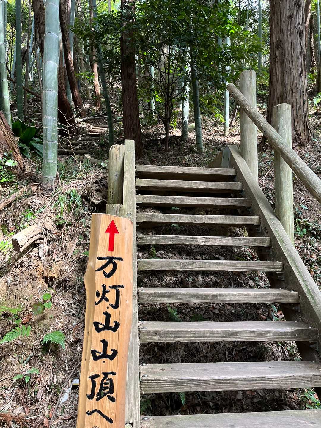 万灯山 周回コースの写真