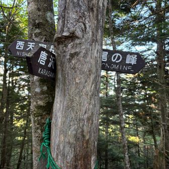 分岐に到着　