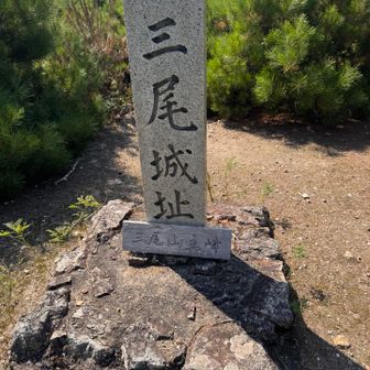 着きましたー♪