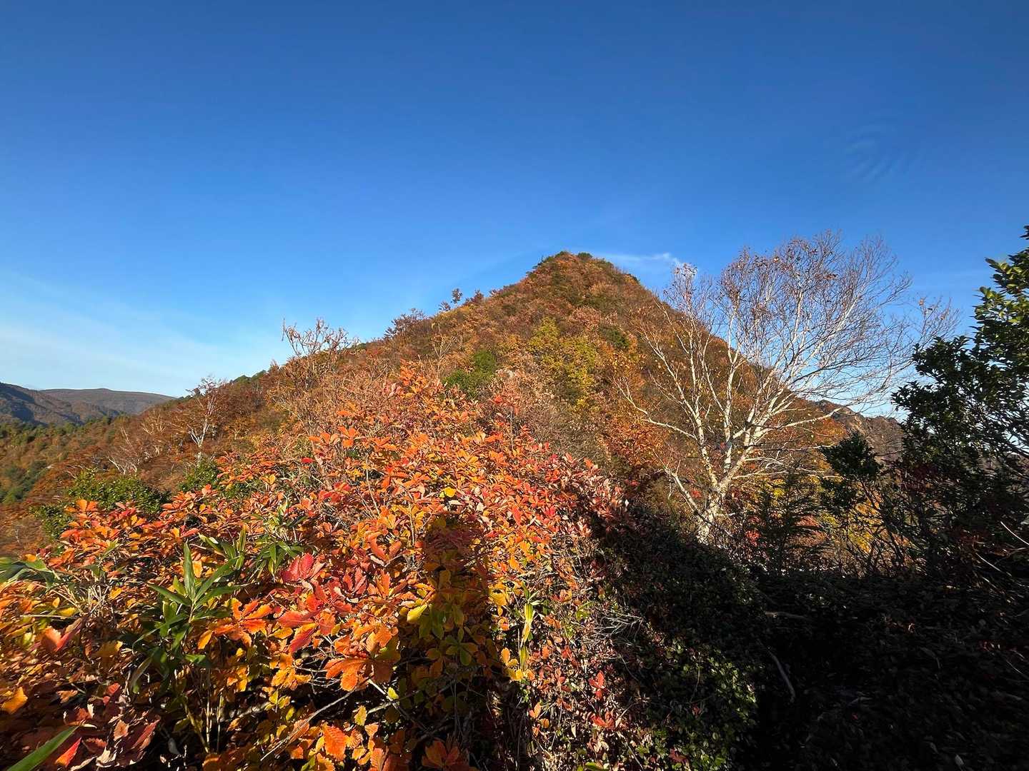 登り切ったよー(・∀・)
あれ？また次の頭あるやん…