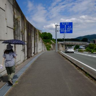 グレーピークをめざして