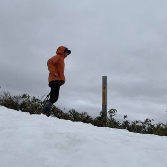 朝ドラのヒロインを見てます👀
今回は…2人ですネ❗️👌笑💦(^^)
