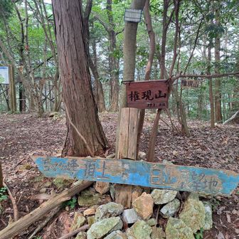 権現山

足早に下山して温泉へ♨️