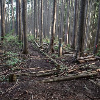 丹三郎山のピークは目の前、通行止めとは聞いてませんが、でもトラロープが張ってある。
理由は分からないけど行っちゃダメなのだろう…

コレを行くのは登山家としてオシャレじゃないよね？　…と言う事でピークハントはやめましたw
