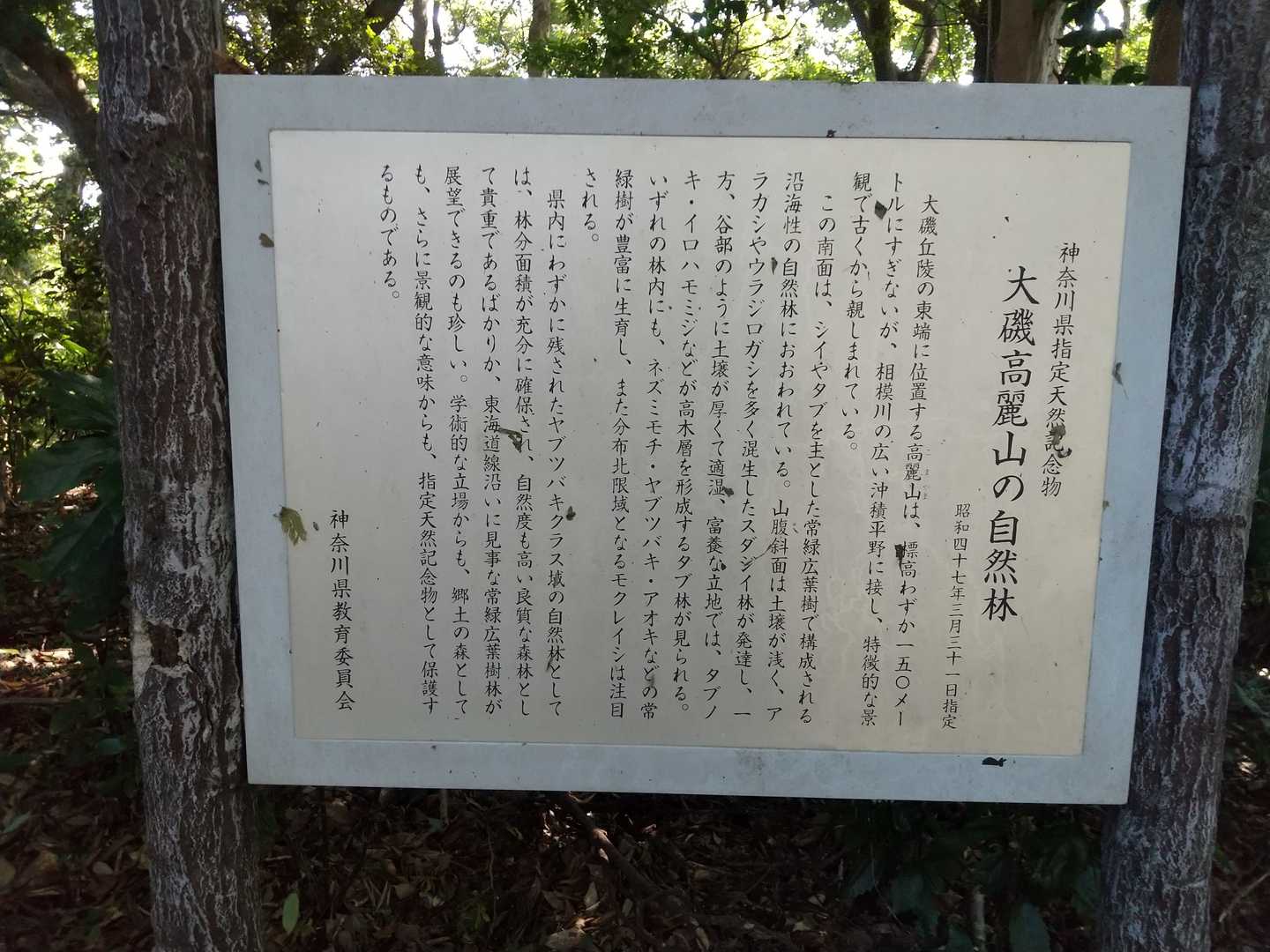 大磯駅-化粧坂バス停-高麗山-浅間山 周回コースの写真