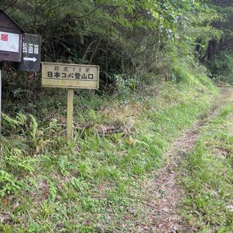 登山口（藤川谷道）