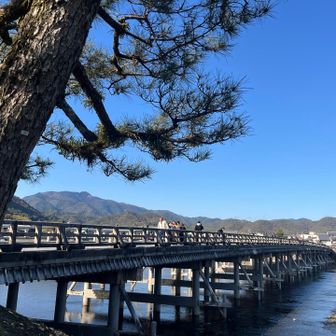 年明けたら愛宕山登ろう🐕