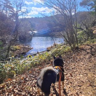 
穂高湖 北側のシェール道に廻り込んで