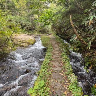 川に挟まれたこの道がお気に入り☺️