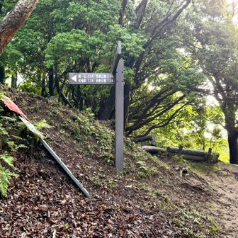 稜線の分岐

ここを左側にしばらく行くと山頂