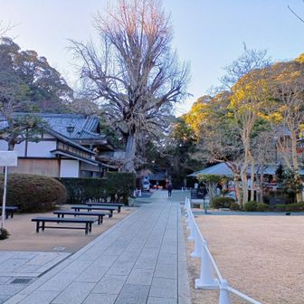 膝お灸や足首ストレッチやロキソニンテープやサポーターを活用しながら年末年始は安静を心掛けていると、回復の傾向を日々少しずつ感じた…お正月混雑を避けAM8時前にスタートした清荒神参道は難なく登ってこれたので拝。